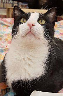 Ray @ Petco (20626213)