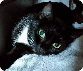 A Chiquita – (14109691)