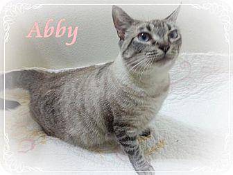 Abby (12461430)