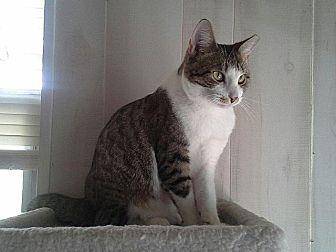 Abby (13564098)