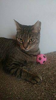 Abigail (20439074)
