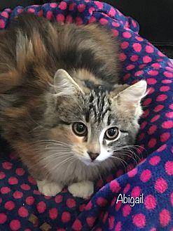 Abigail (20618221)