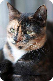 Abigail (5703312)