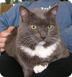 Abigail – Fr (15203716)