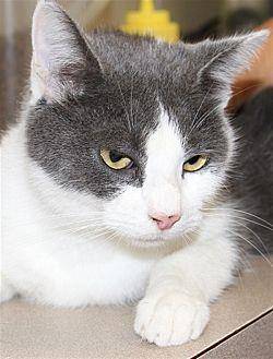 Abner (20159831)