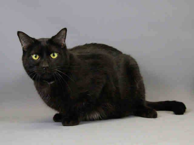 AIKO (A105120)