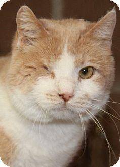 Albert (11256413)