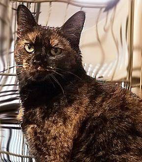 Anissa (19939568)