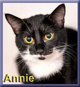 Annie (17389267)