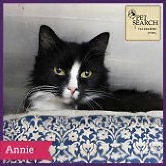 Annie (20621415)