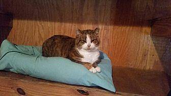 Annie $25 ad (20341461)