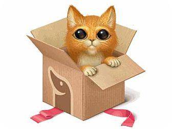 Any Cat/Kitt (18675302)