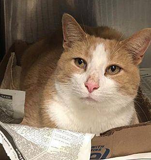 Arthur (20146939)