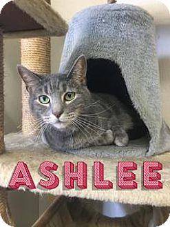 Ashlee (16688638)