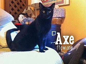 Axe (17873251)