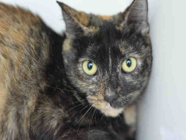 BABY (A1928754)