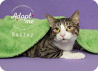 Bailey (18872638)