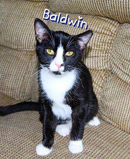 Baldwin (18476442)