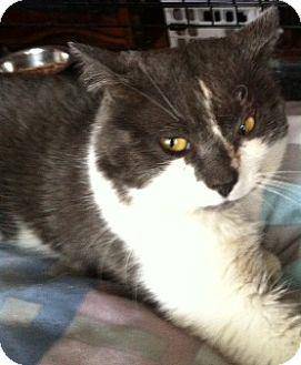 Beau (15486409)