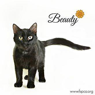 Beauty (20302740)
