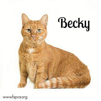 Becky (20366453)