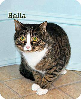 Bella (17924266)