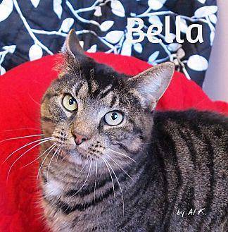 Bella (20314869)
