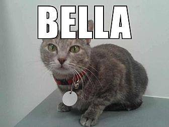 Bella (momma (19820954)