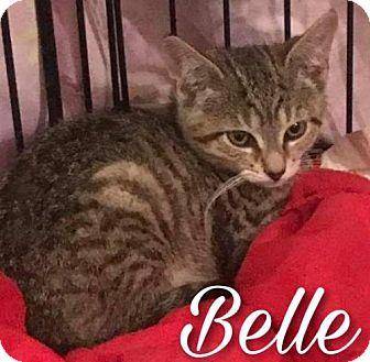 Belle (18847785)