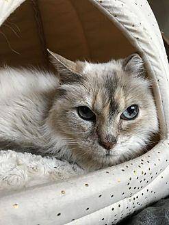 Belle (20654545)