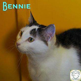 Bennie (17868901)