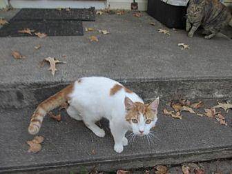 Benny (18714516)