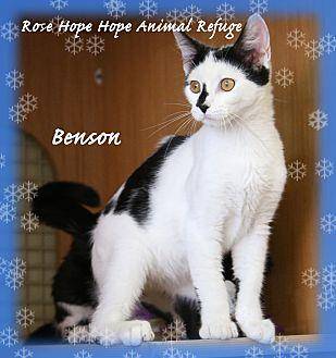 Benson (20463604)