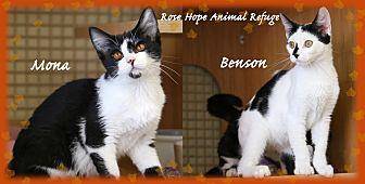 Benson and M (19405825)