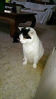 Bentley (15251016)