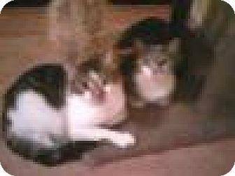 Bernadette & (16691867)