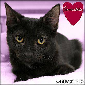 Bernadette (20264434)
