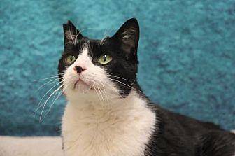 Bert (20128703)