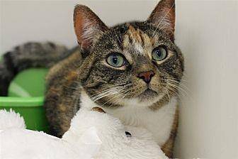 Betty (20505850)