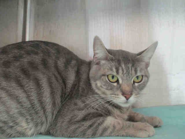 BETTY (A178622)