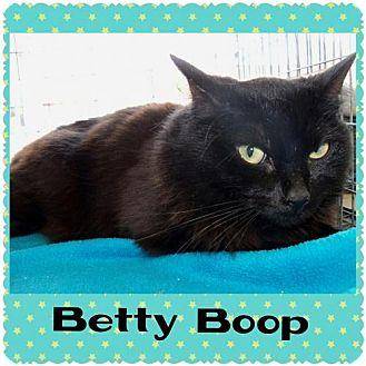Betty Boop (15032199)