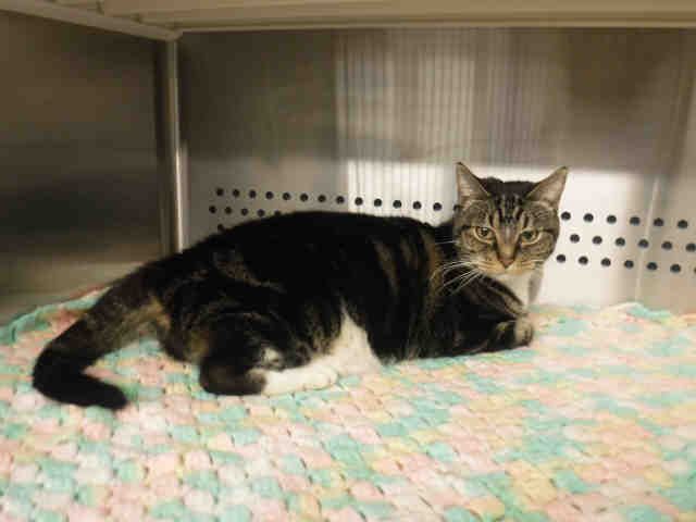 *BEVERLY* (A135867)