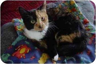 Bijou (MG) (3629577)