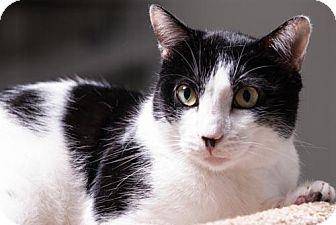 Billy (15203763)