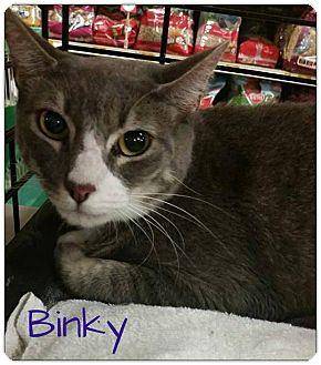 Binky (16527096)