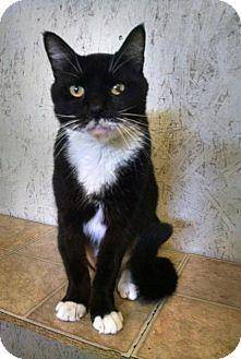 Blackie (13072223)