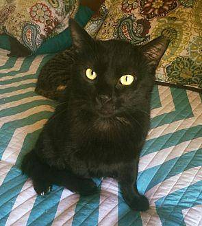 BLACKIE (15122453)