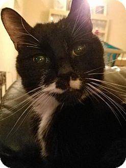 Blackie (16172460)