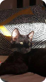 Blake (17886474)