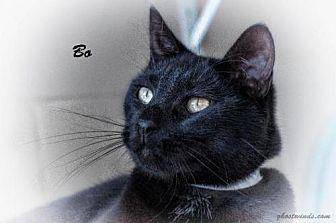 Bo (10845063)